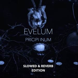 Merenia (Slowed & Reverb)