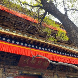 人生是旷野而不是轨道.wav