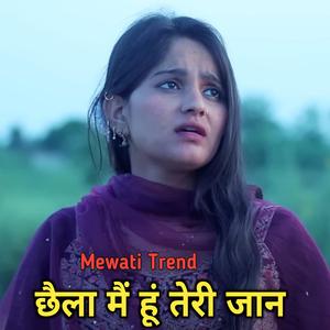 छैला मैं हूं तेरी जान