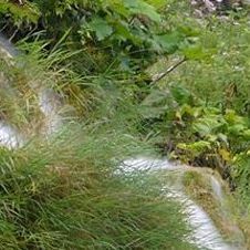 这童话的声音 伴奏