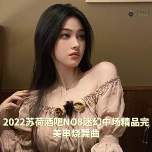 DJ国飞-2022苏荷酒吧NO8迷幻中场精品完美串烧舞曲（DJ国飞 remix）