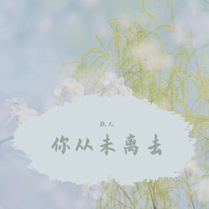 你从未离去（翻唱，清唱）