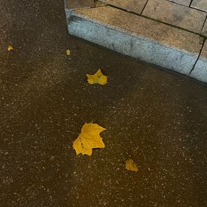 又到下雨天（Prod by inf）