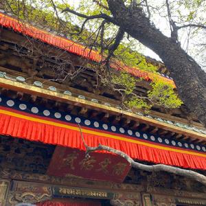 等到香港下雪 我就忘记你.wav