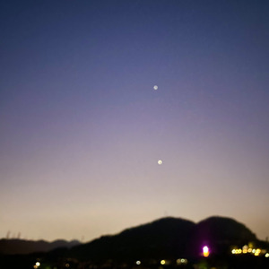 나만 봄(Bom)