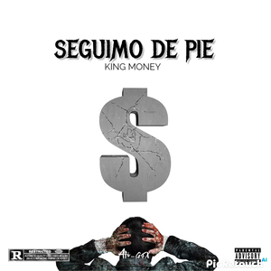 Seguimo de Pie