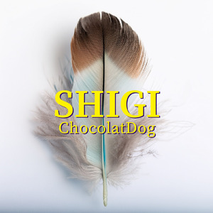 SHIGI