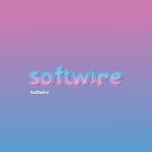 softwire