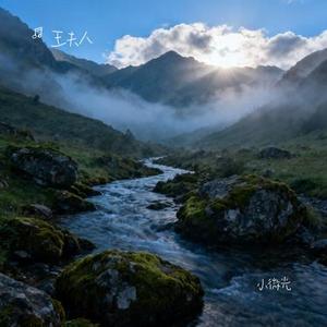 小微光 (Cover 郑 润 泽)