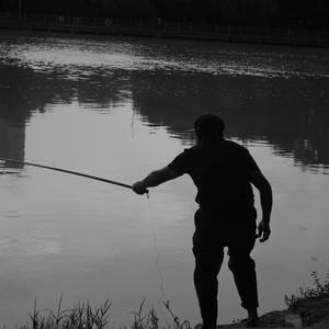 虎口脱险（cover：老狼）