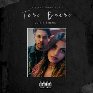 Tere Baare (feat. Sneha)