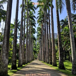 适合专注忧郁的音乐