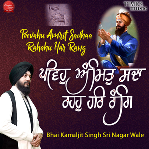 Peevahu Amrit Sadhaa Rahahu Har Rang