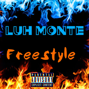 YTN Freestyle