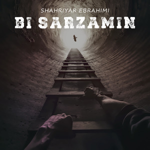 Bi Sarzamin