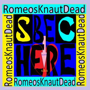 way you flip your hair