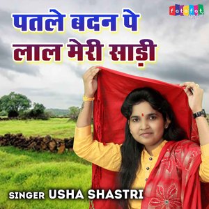 Patle Badan Pe Laal Meri Saari