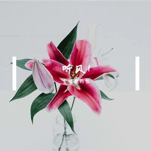 埋头苦干的失败