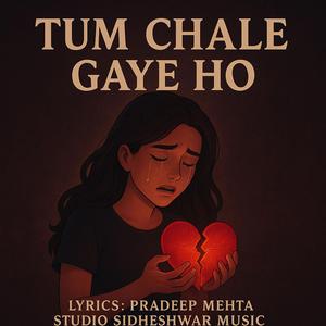 TUM CHALE GAYE HO
