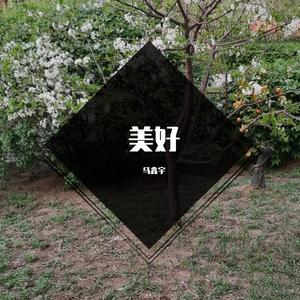 马鑫宇-站台电子琴DJ