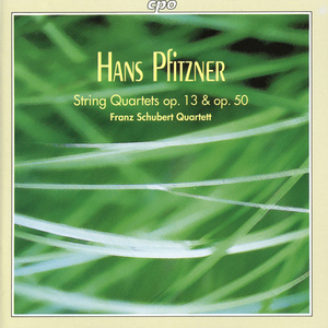 String Quartet No. 1 in D Major, Op. 13:I. In masig gehender bewegung