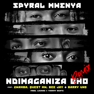 Ndimaganiza Bho (Remix)