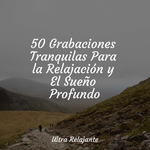 Una Lección De Relajación