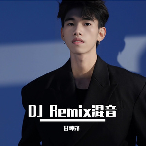 陈冠蒲-太多（甘坤锋 remix）