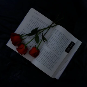 玫瑰少年（小提琴版）