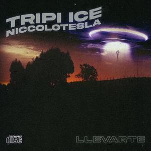 Llevarte
