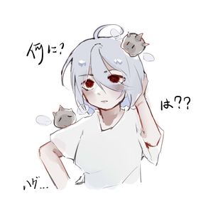 所以我放弃了音乐