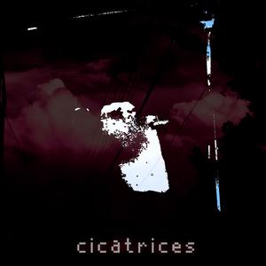 Cicatrices