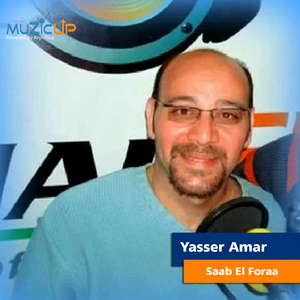 Saab El Foraa