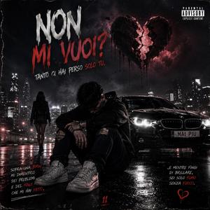 non mi vuoi