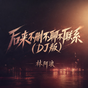 后来不删不聊不联系(DJ版)