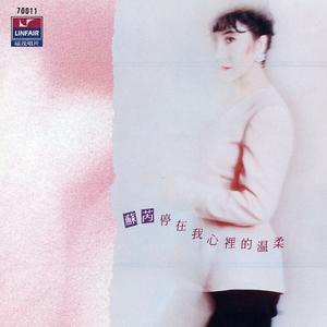 不要问我能爱你多久