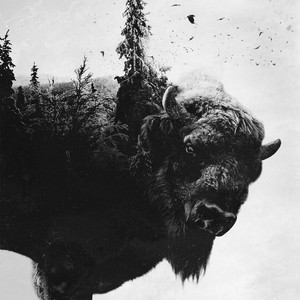 On the Other Hand the Richness Took Over of His Being, and Overwhelmed Sold All the Things Were Left, Much Coherence a Bit of Bitterness and Innocence Has Been Already Rotten