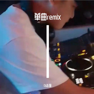 Dj志强-Vadoka Bayan(dj志强 Mix)-男Electro