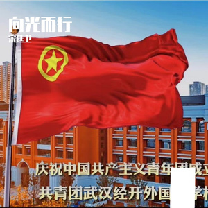 向光而行(经外版）-陆欣昀  宋廷卫  熊恋蝴  彭恩成  刘睿熙