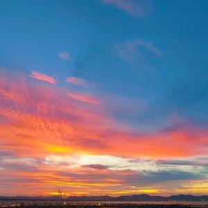 小蝴蝶与小阿飞