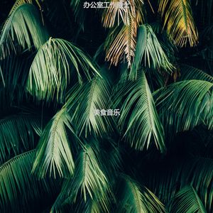 适合居家办公高尚的音乐