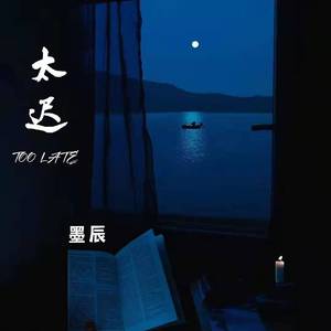 太迟