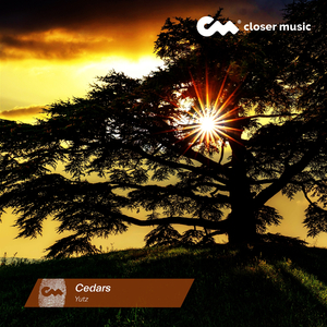 Cedars (Instrumental)
