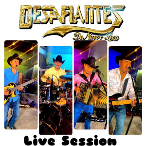 Capullito de Rosa (Live)