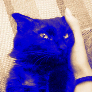 叶塞尼亚（Cover 赵鹏）