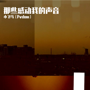 我不知道（翻自 梁博）