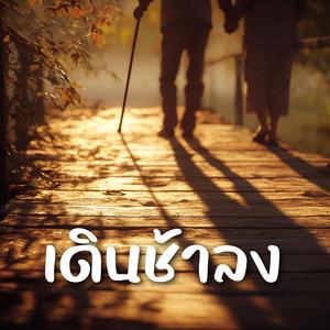 เดินช้าลง