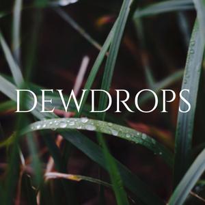 Dewdrops
