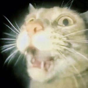 【Free】1bfnawoayow！！