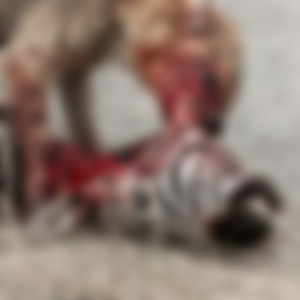 On LSD At The Legion Of Doom